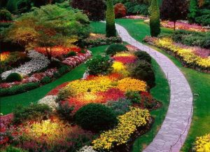 plantas de jardín venenosas