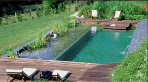 Trucos para Limpiar Aguas de Piscinas