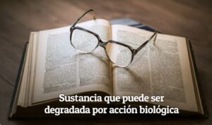Productos Biodegradables caseros