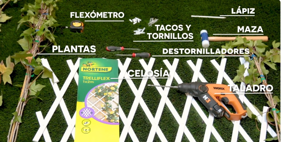 Celosía significado