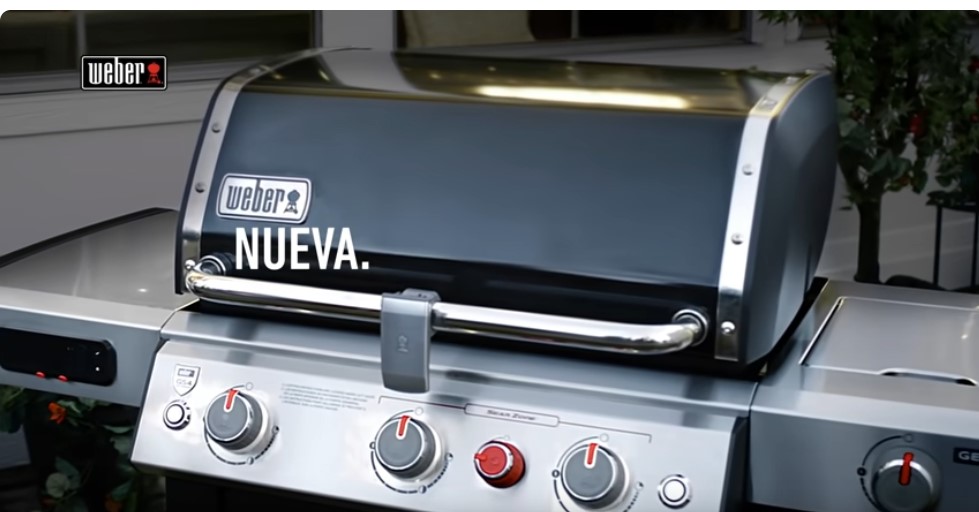 Barbacoas Weber gas