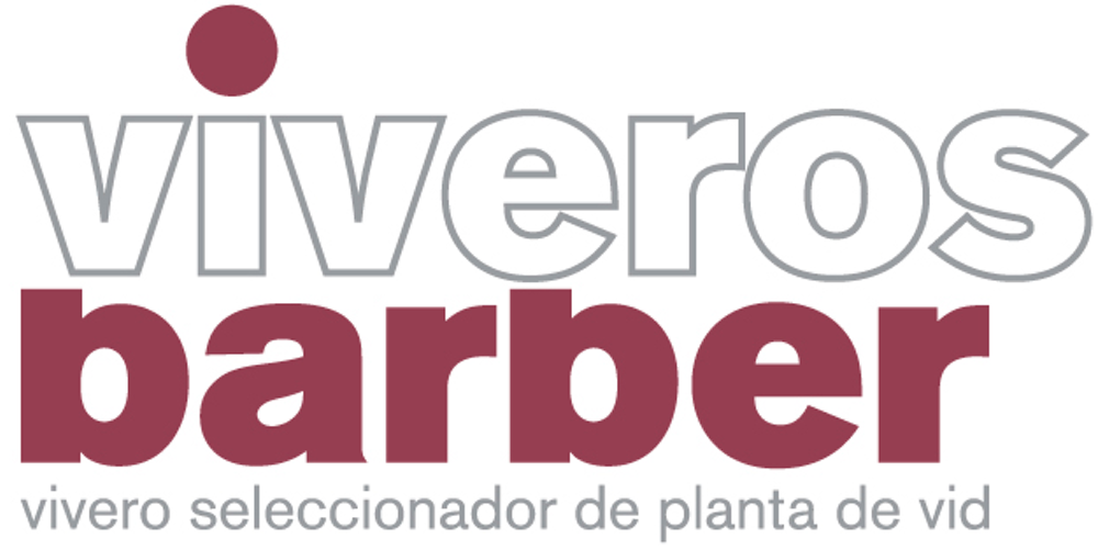 Uva pasa