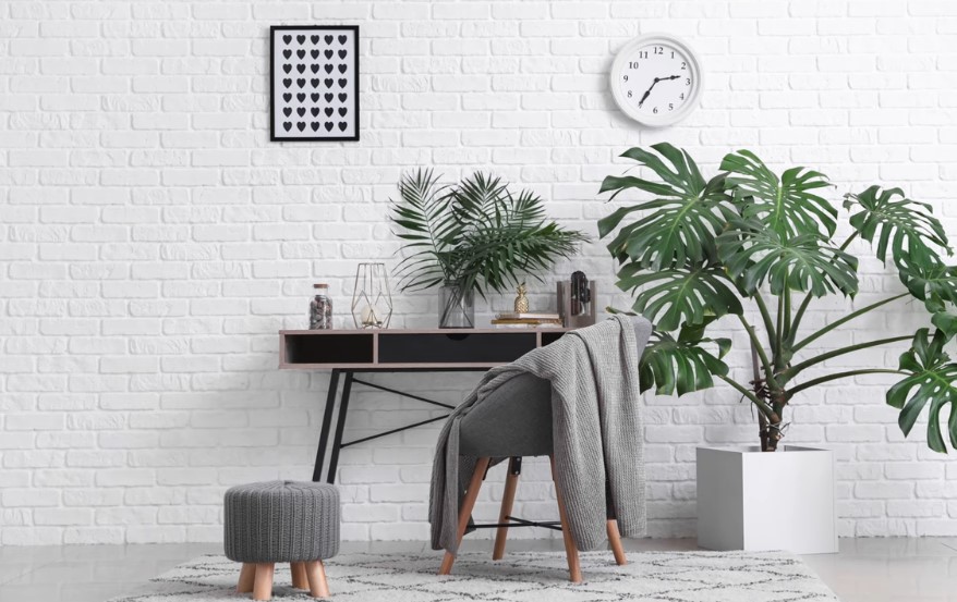 Decoración con plantas exterior
