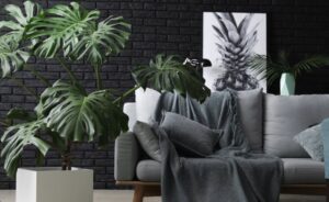 Decoración con plantas colgantes